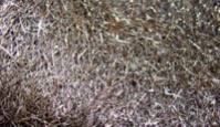 Stainless Steel and Copper Fibers