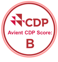 CDP Logo