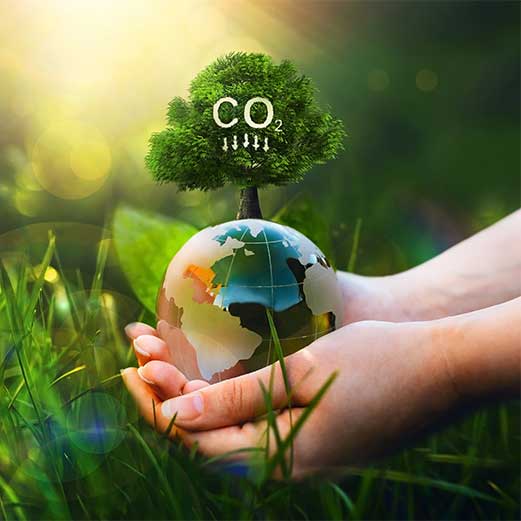 Carbon Footprint
