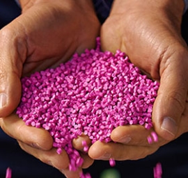 person holding pellets