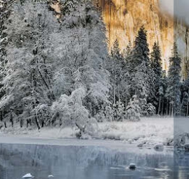 second sustainability report wallpaper