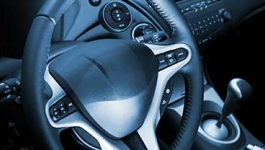 Vehicle steering wheel