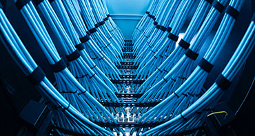Low-angle view of neatly bundled blue network cables connected to a server rack.