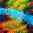 colorful chameleon skin