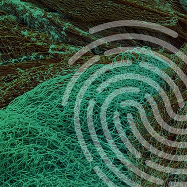 ocean net