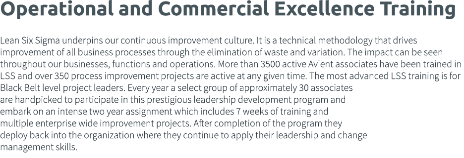 Operational and Commercial Excellence Training Lean Six Sigma underpins our continuous improvement culture  It is a t
