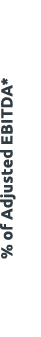 % of Adjusted ebitDa*